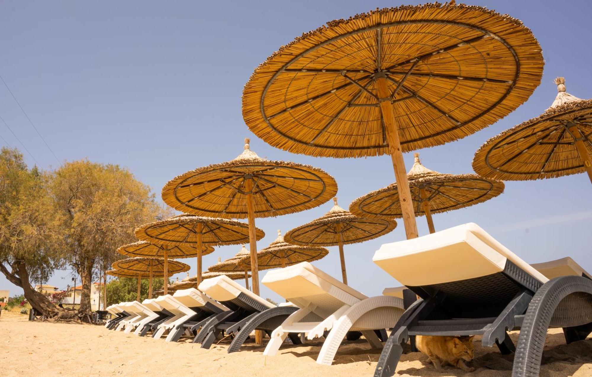 Coralli Rooms & Restaurant Elafonissos Exteriér fotografie